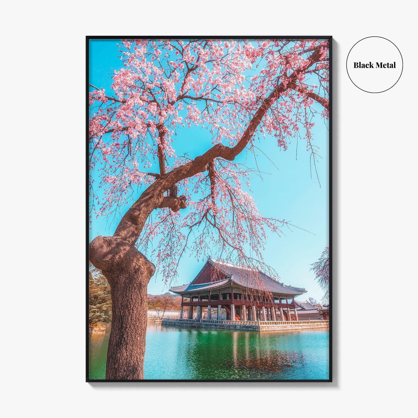 Seoul Fine Art Photo Print, Gyeongbokgung Palace, Cherry Blossom, South Korea Wall Decor Poster