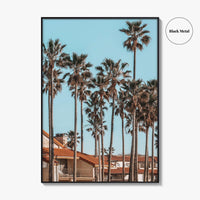 Oxnard Fine Art Photo Print, California Coastal Palm Trees, Ventura County Wall Poster