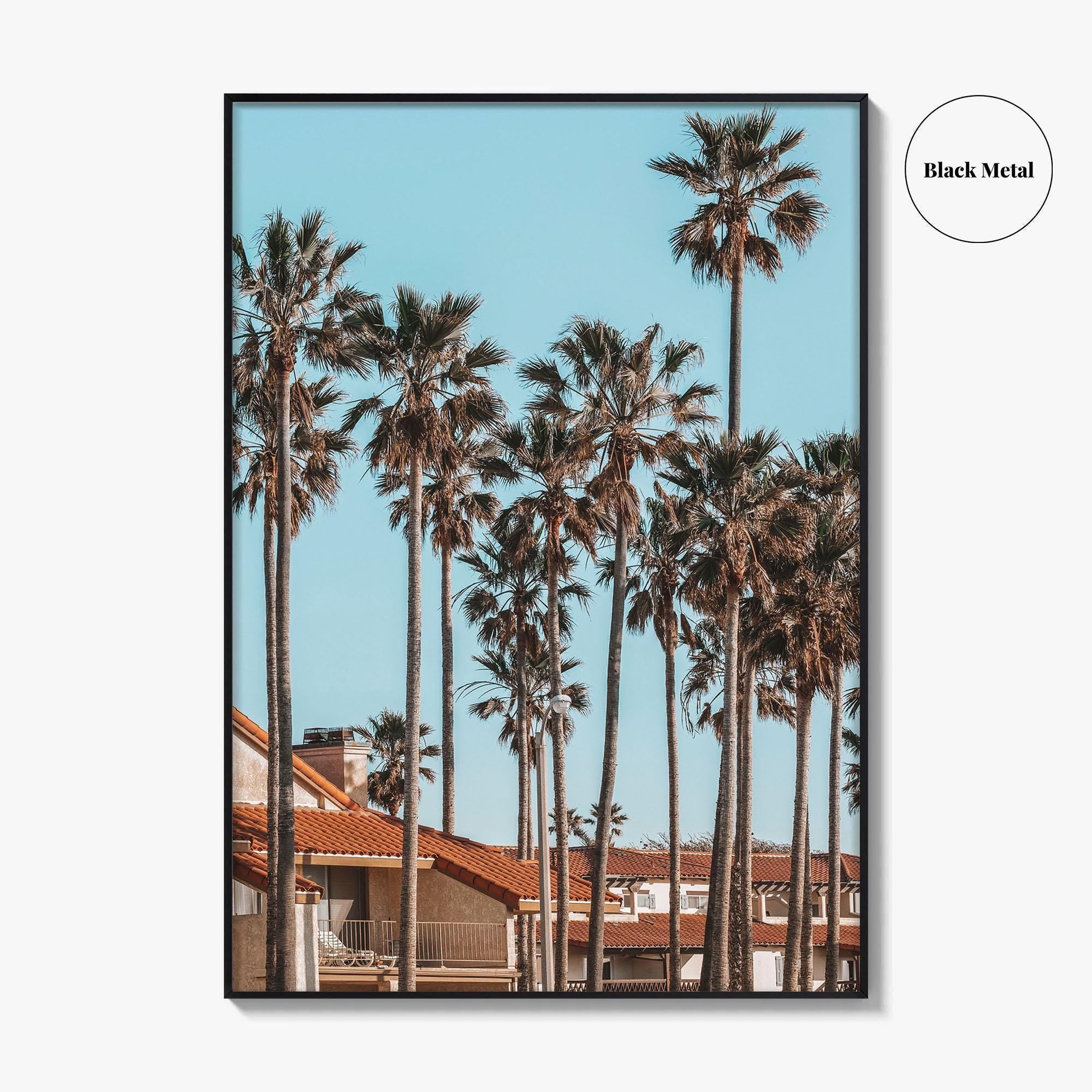 Oxnard Fine Art Photo Print, California Coastal Palm Trees, Ventura County Wall Poster