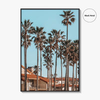 Oxnard Fine Art Photo Print, California Coastal Palm Trees, Ventura County Wall Poster