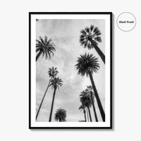 California Black and White Fine Art Photo Print, Los Angeles Palm Trees Poster