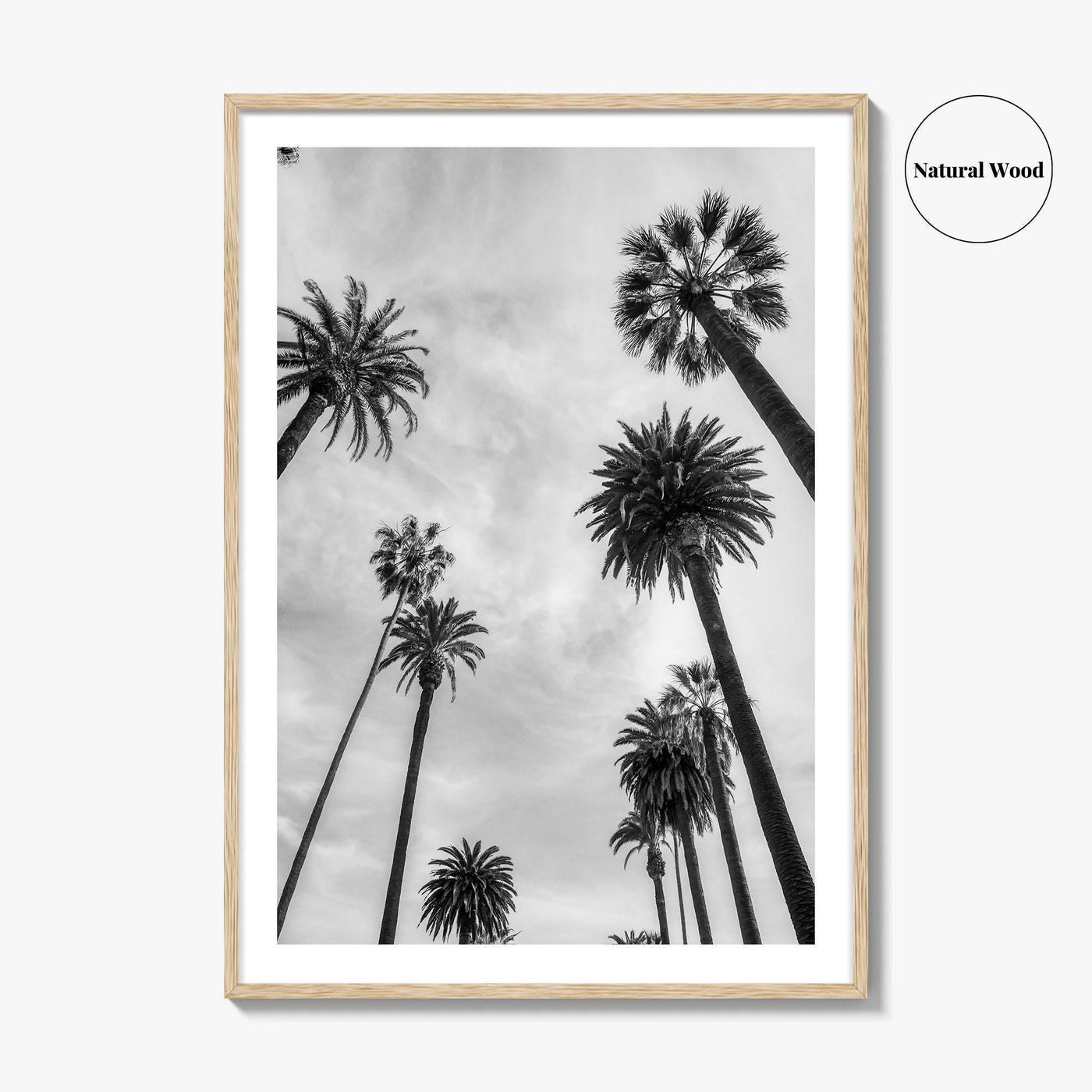 California Black and White Fine Art Photo Print, Los Angeles Palm Trees Poster
