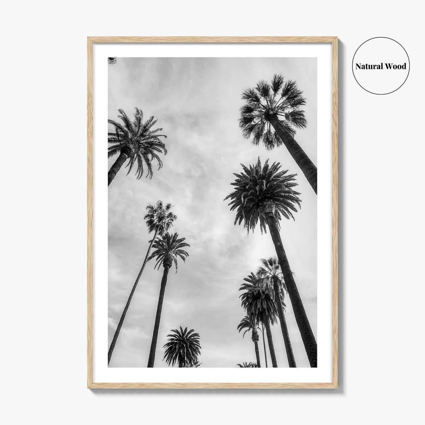California Black and White Fine Art Photo Print, Los Angeles Palm Trees Poster