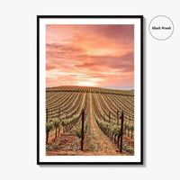 Sonoma Fine Art Photo Print, Napa Valley Wine Country, California Poster, Hot Air Balloon