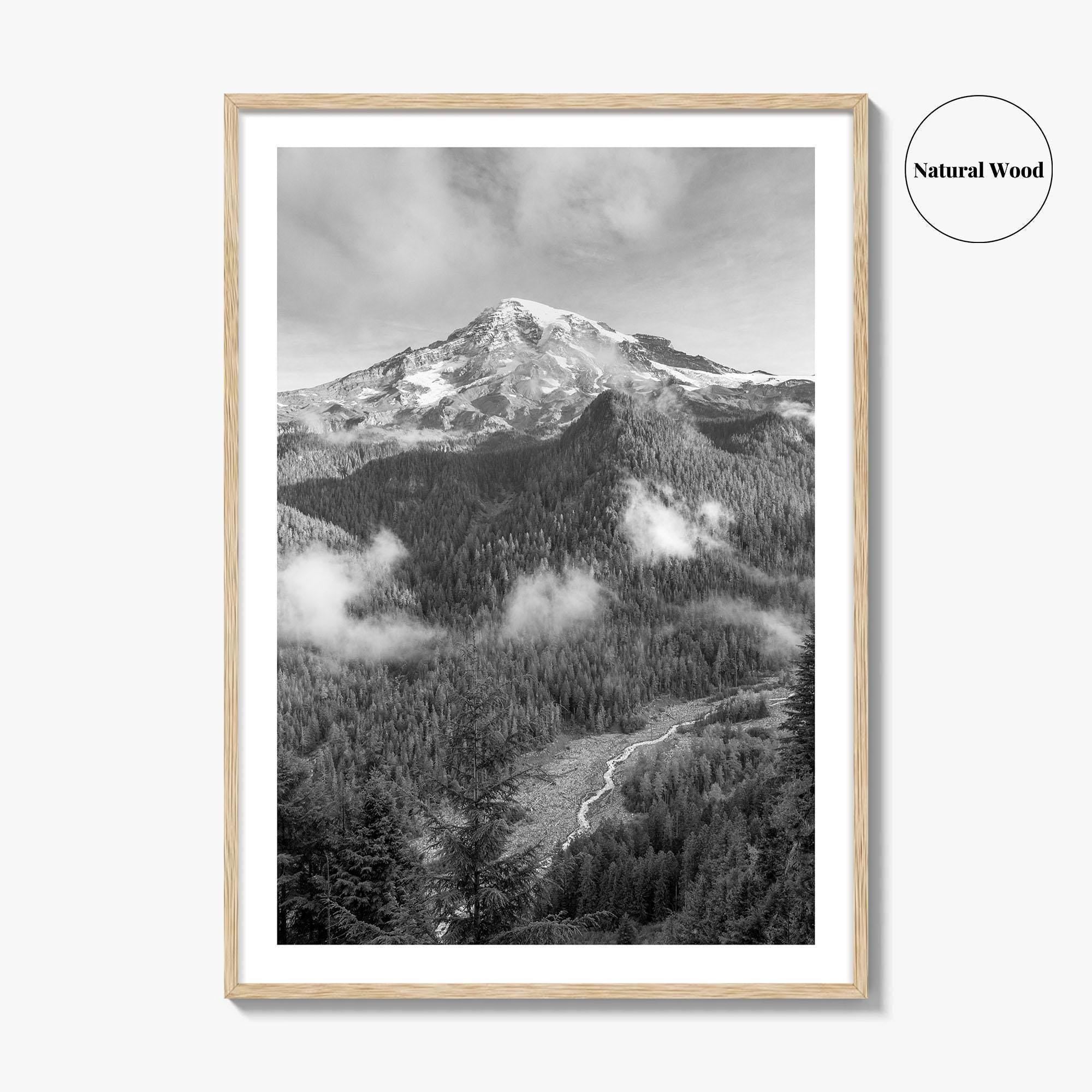 Mount Rainier Black and White Fine Art Photo Print, Washington USA, Nisqually River Poster
