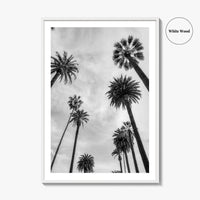 California Black and White Fine Art Photo Print, Los Angeles Palm Trees Poster