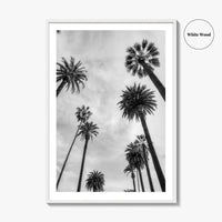 California Black and White Fine Art Photo Print, Los Angeles Palm Trees Poster