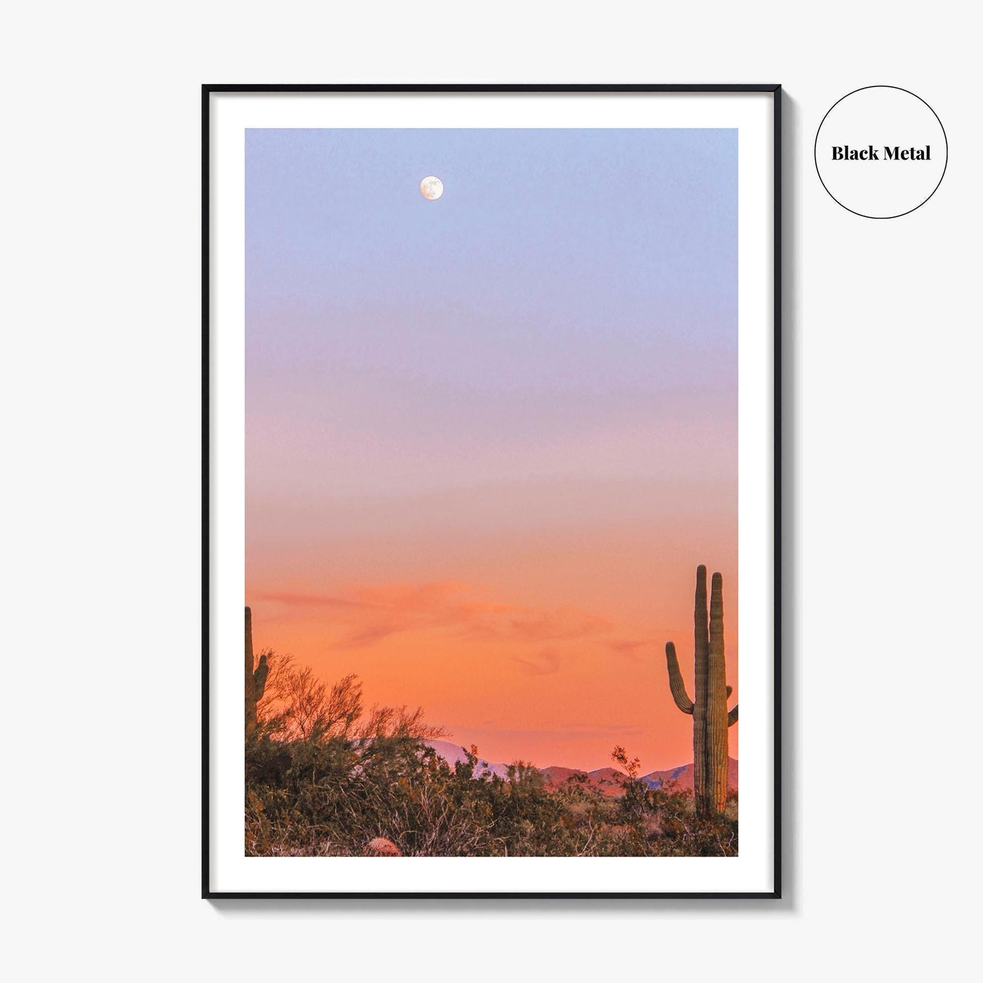 Tucson Fine Art Photo Print, Arizona Wall Decor, Saguaro National Park, Sonoran Desert, USA