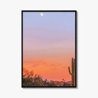 Tucson Fine Art Photo Print, Arizona Wall Decor, Saguaro National Park, Sonoran Desert, USA