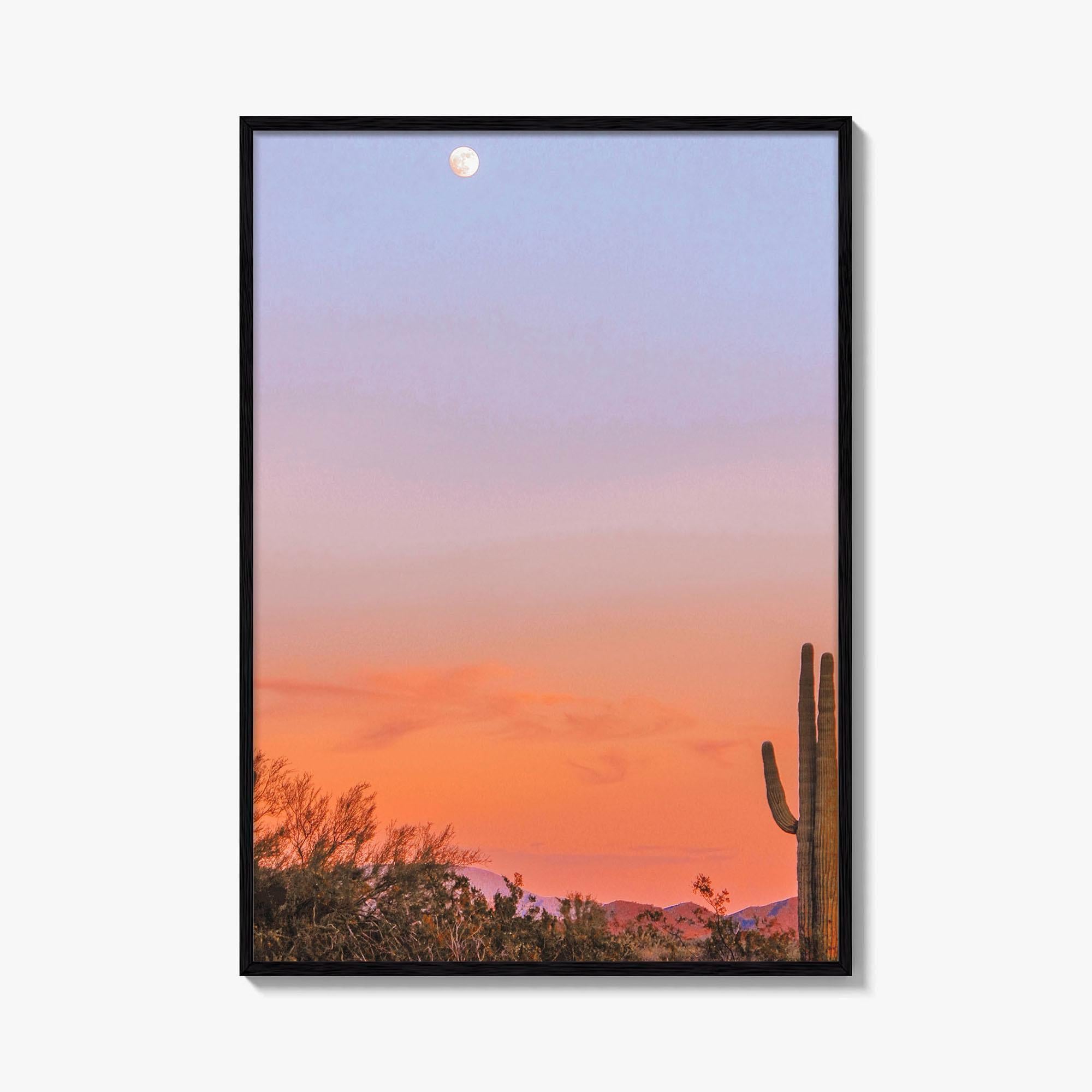 Tucson Fine Art Photo Print, Arizona Wall Decor, Saguaro National Park, Sonoran Desert, USA