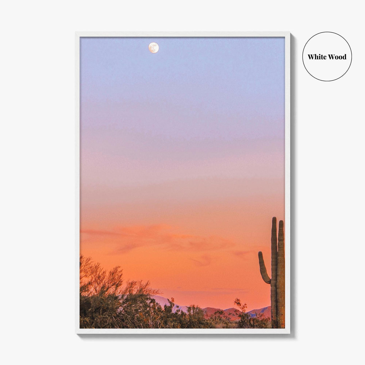 Tucson Fine Art Photo Print, Arizona Wall Decor, Saguaro National Park, Sonoran Desert, USA