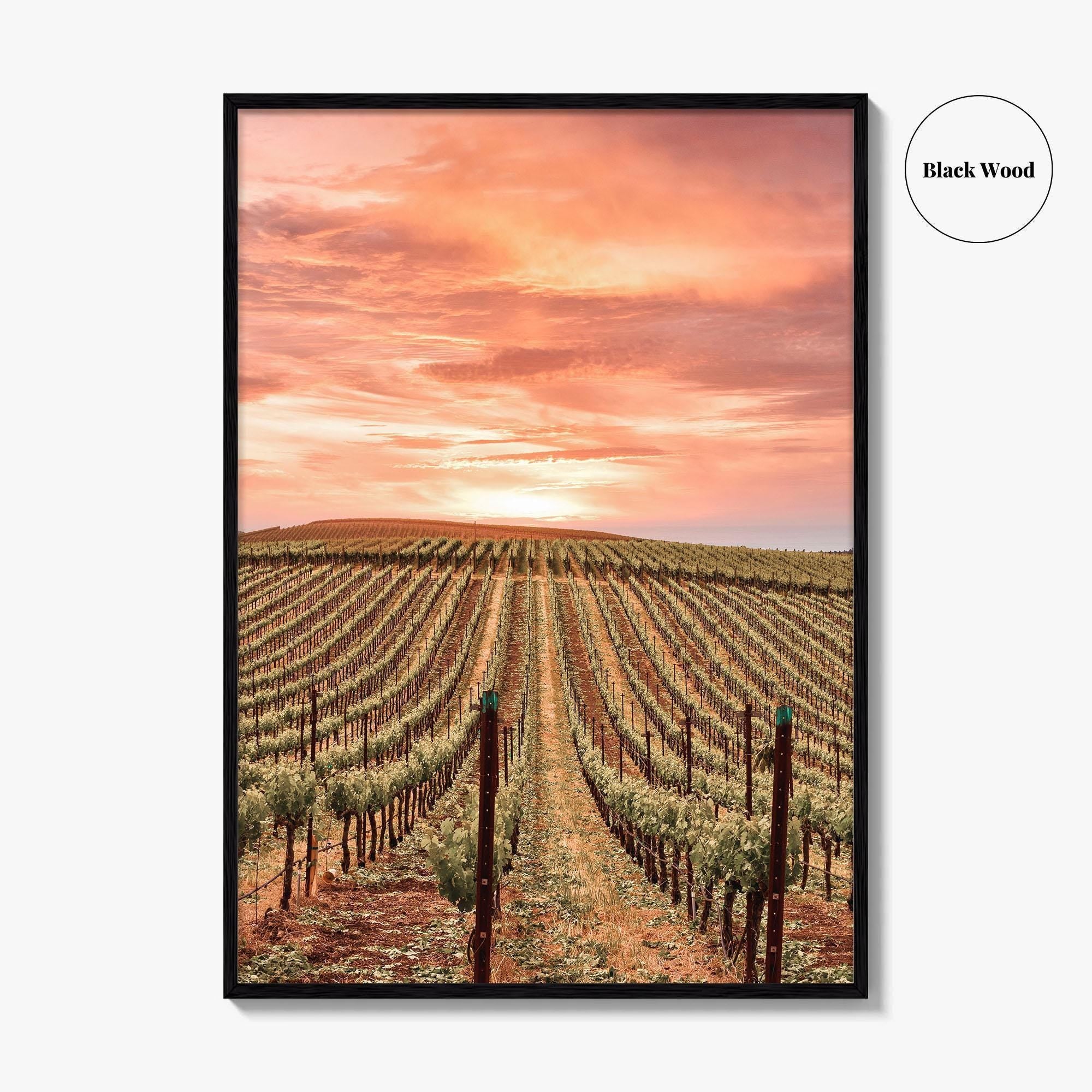 Sonoma Fine Art Photo Print, Napa Valley Wine Country, California Poster, Hot Air Balloon