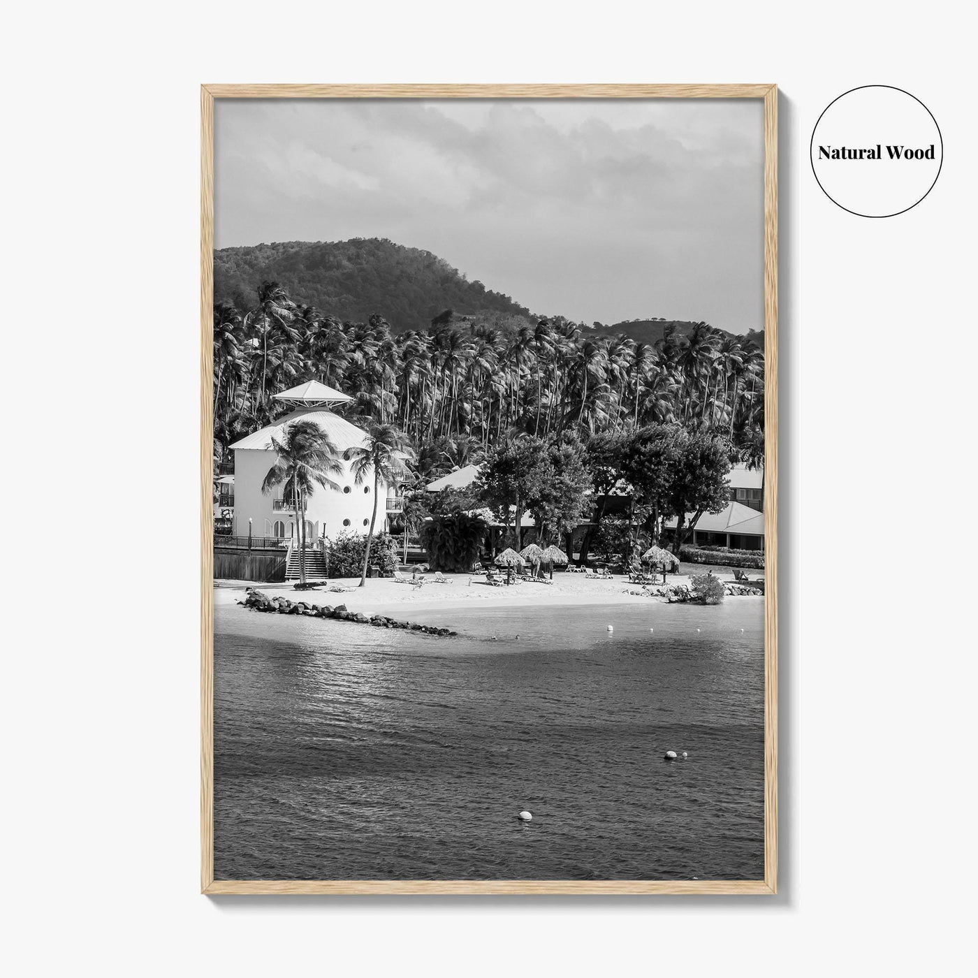 Martinique Black and White Fine Art Photo Print, Caribbean French Antilles Poster