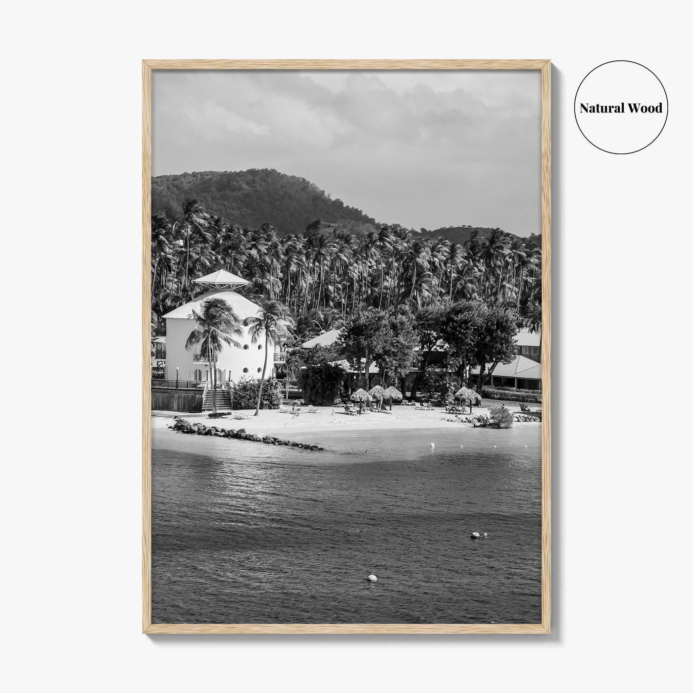 Martinique Black and White Fine Art Photo Print, Caribbean French Antilles Poster