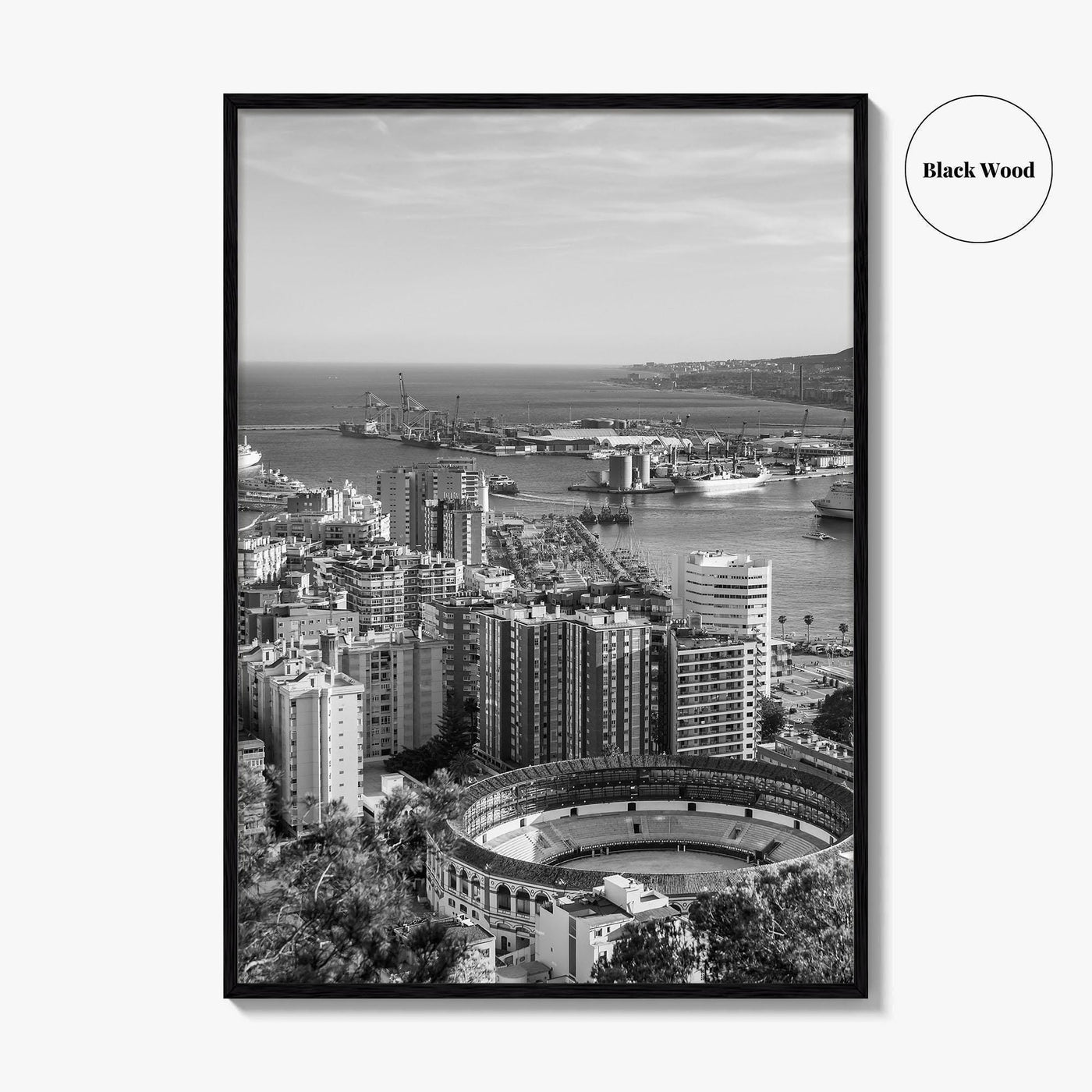Malaga Skyline Black and White Fine Art Photo Print, Wall Decor, Andalusia Spain Poster