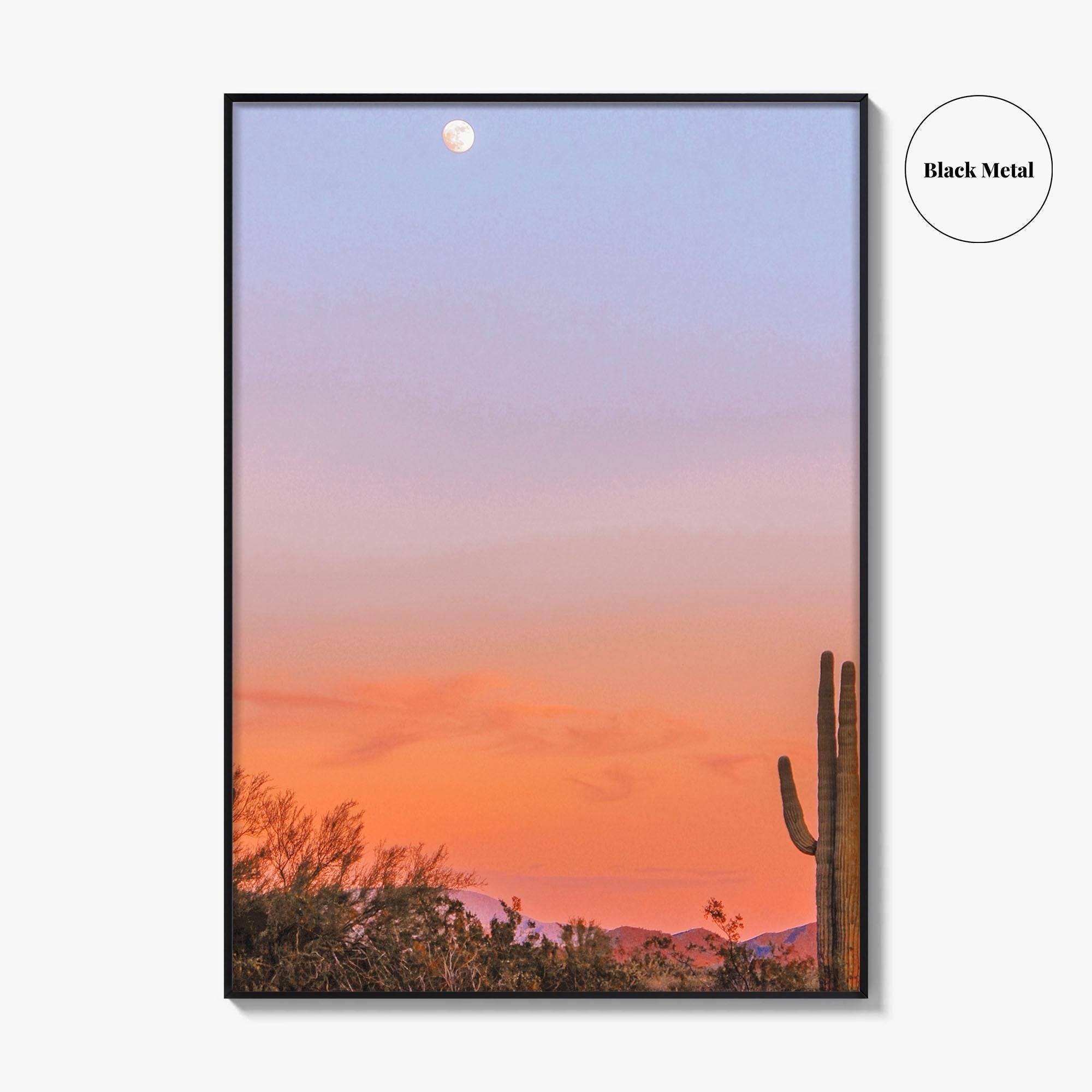 Tucson Fine Art Photo Print, Arizona Wall Decor, Saguaro National Park, Sonoran Desert, USA