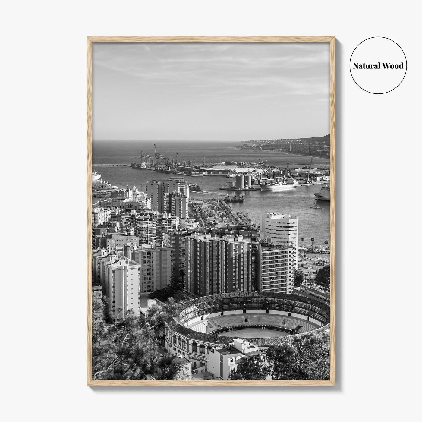 Malaga Skyline Black and White Fine Art Photo Print, Wall Decor, Andalusia Spain Poster