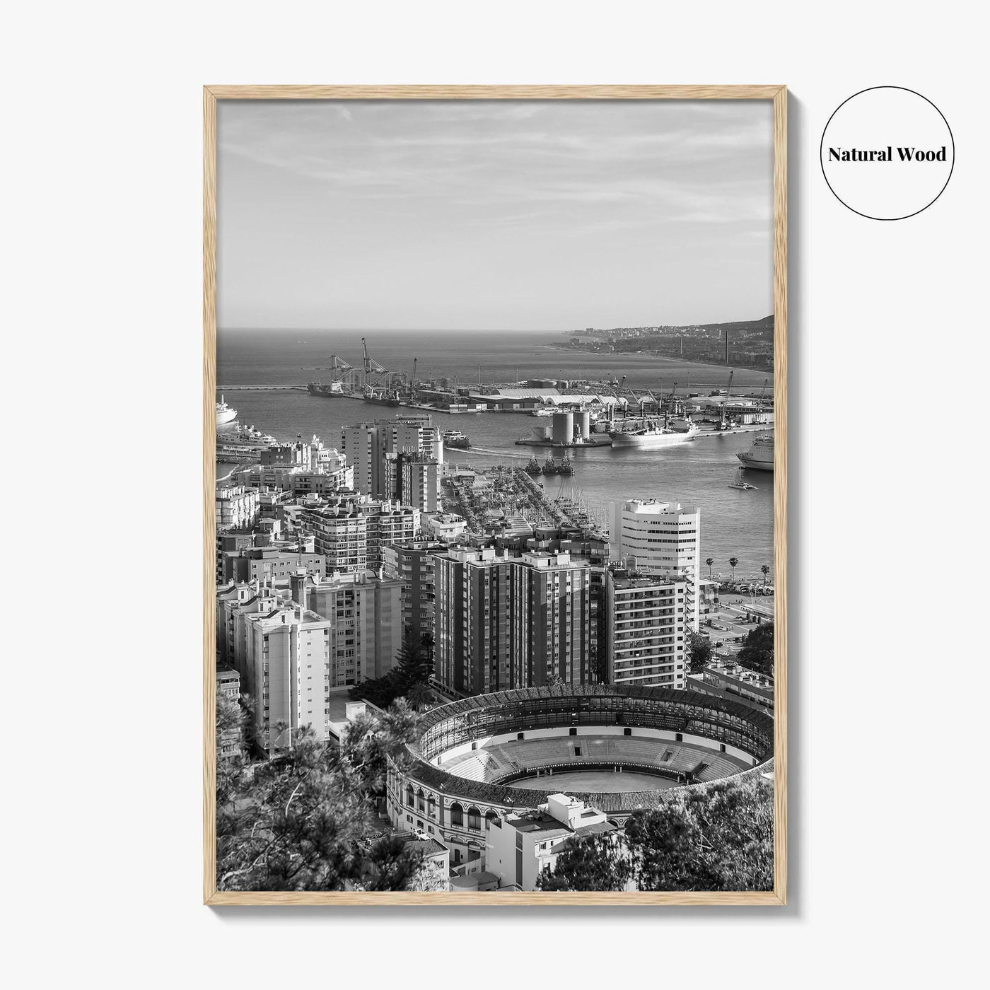 Malaga Skyline Black and White Fine Art Photo Print, Wall Decor, Andalusia Spain Poster