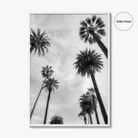 California Black and White Fine Art Photo Print, Los Angeles Palm Trees Poster