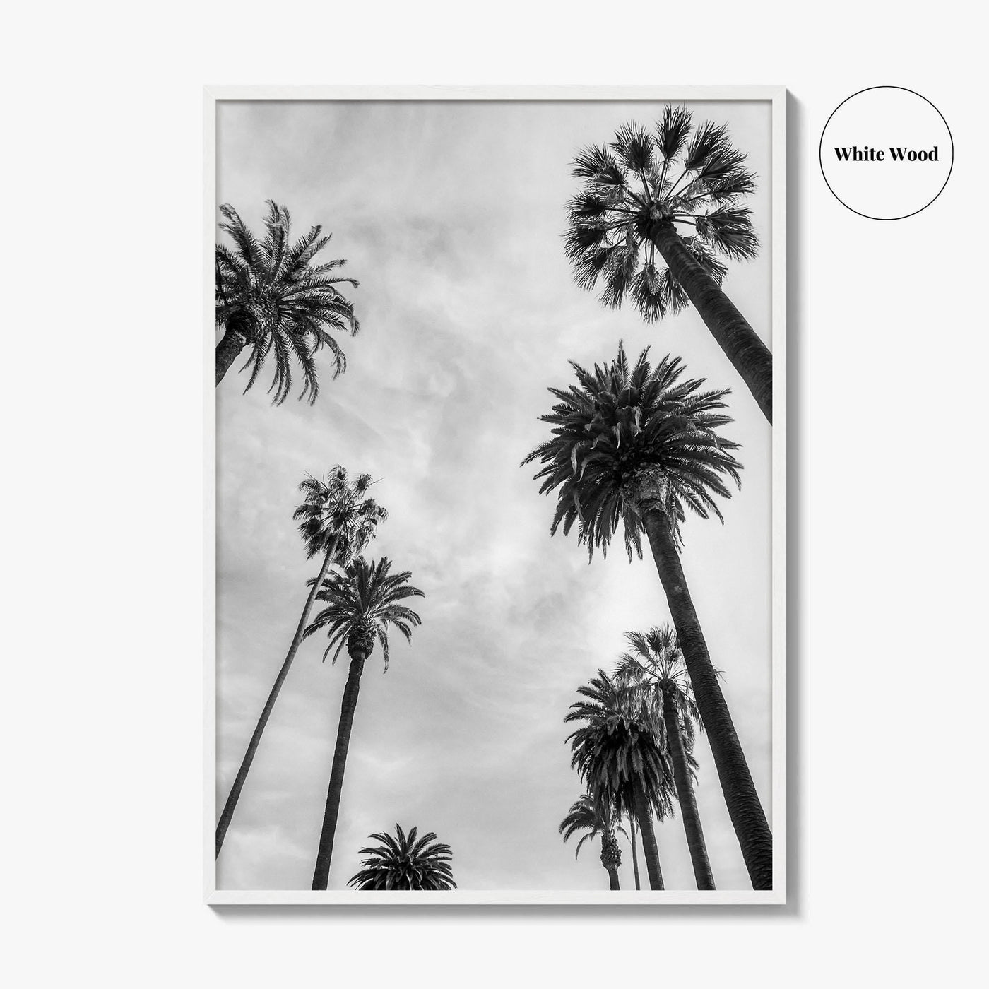 California Black and White Fine Art Photo Print, Los Angeles Palm Trees Poster