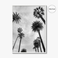 California Black and White Fine Art Photo Print, Los Angeles Palm Trees Poster