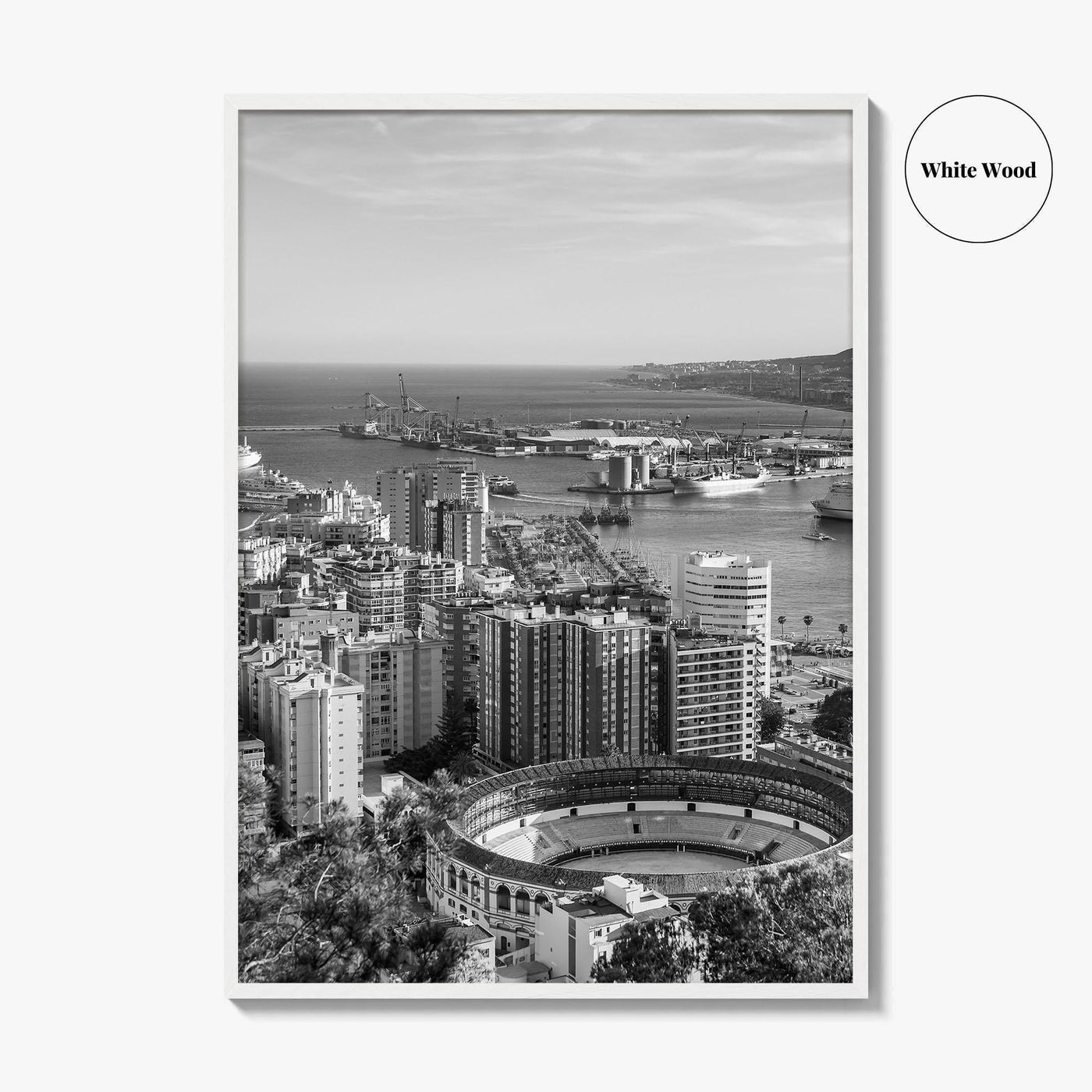 Malaga Skyline Black and White Fine Art Photo Print, Wall Decor, Andalusia Spain Poster