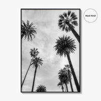 California Black and White Fine Art Photo Print, Los Angeles Palm Trees Poster