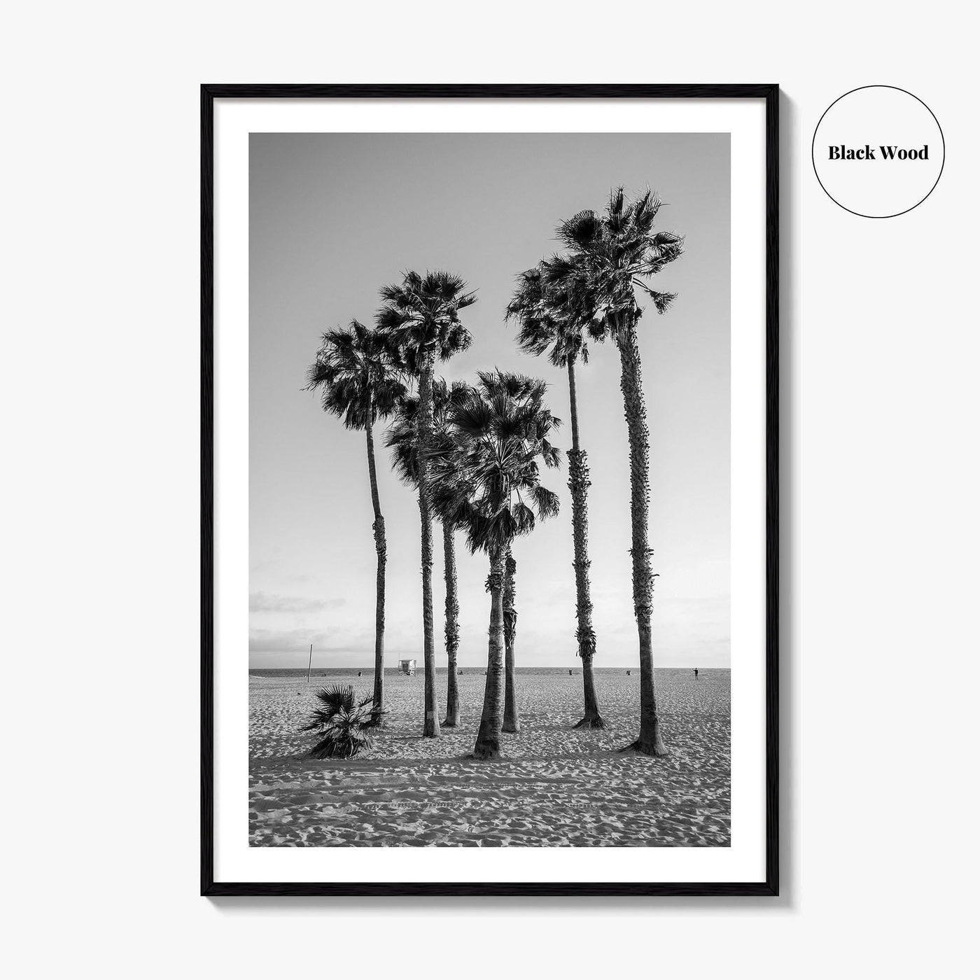 Santa Monica Black and White Fine Art Photo Print, California Palm Trees Poster