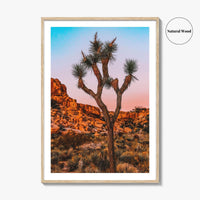 Joshua Tree National Park Blue Fine Art Photo Print, California Wall Decor Poster, USA