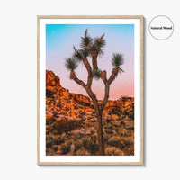 Joshua Tree National Park Blue Fine Art Photo Print, California Wall Decor Poster, USA
