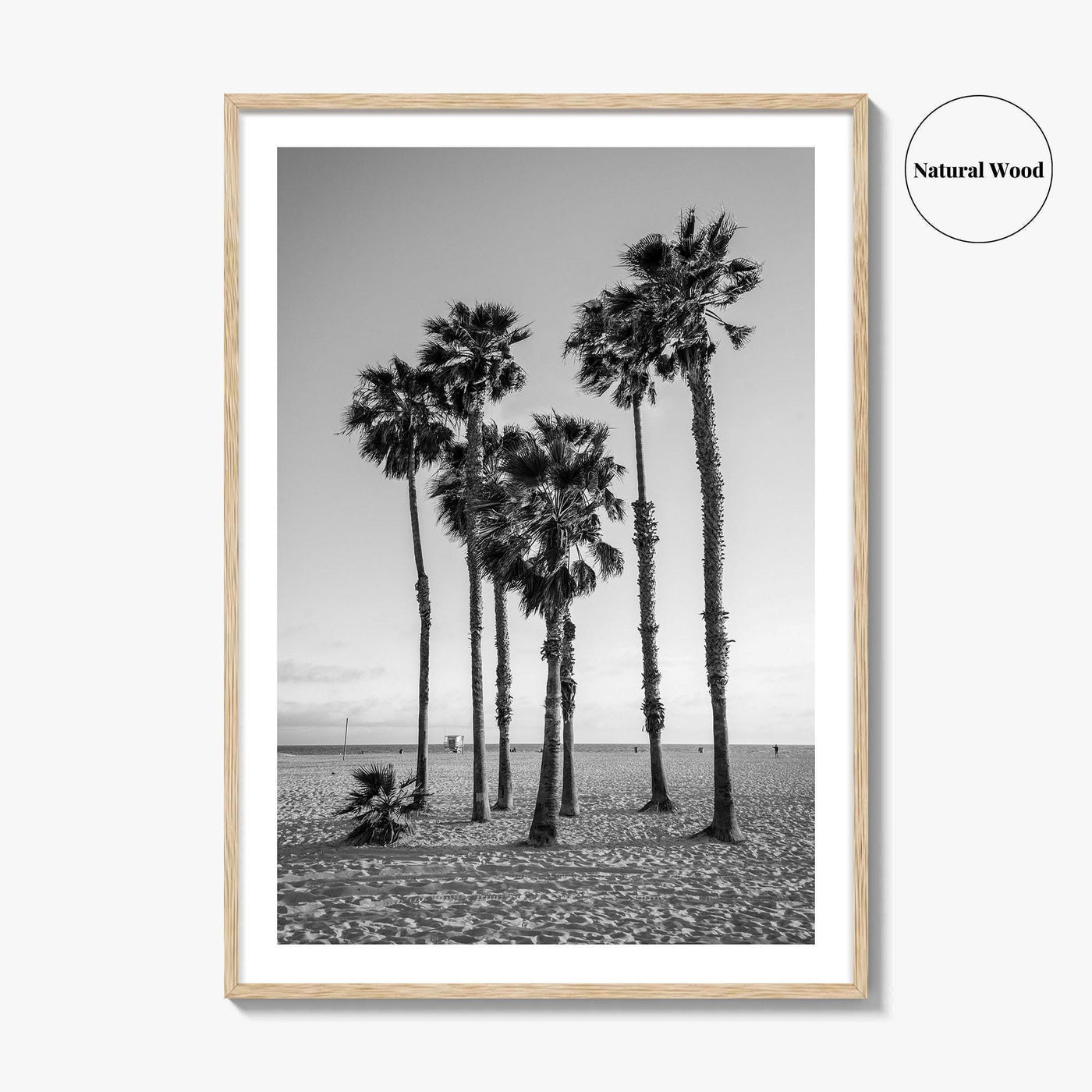 Santa Monica Black and White Fine Art Photo Print, California Palm Trees Poster
