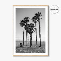 Santa Monica Black and White Fine Art Photo Print, California Palm Trees Poster