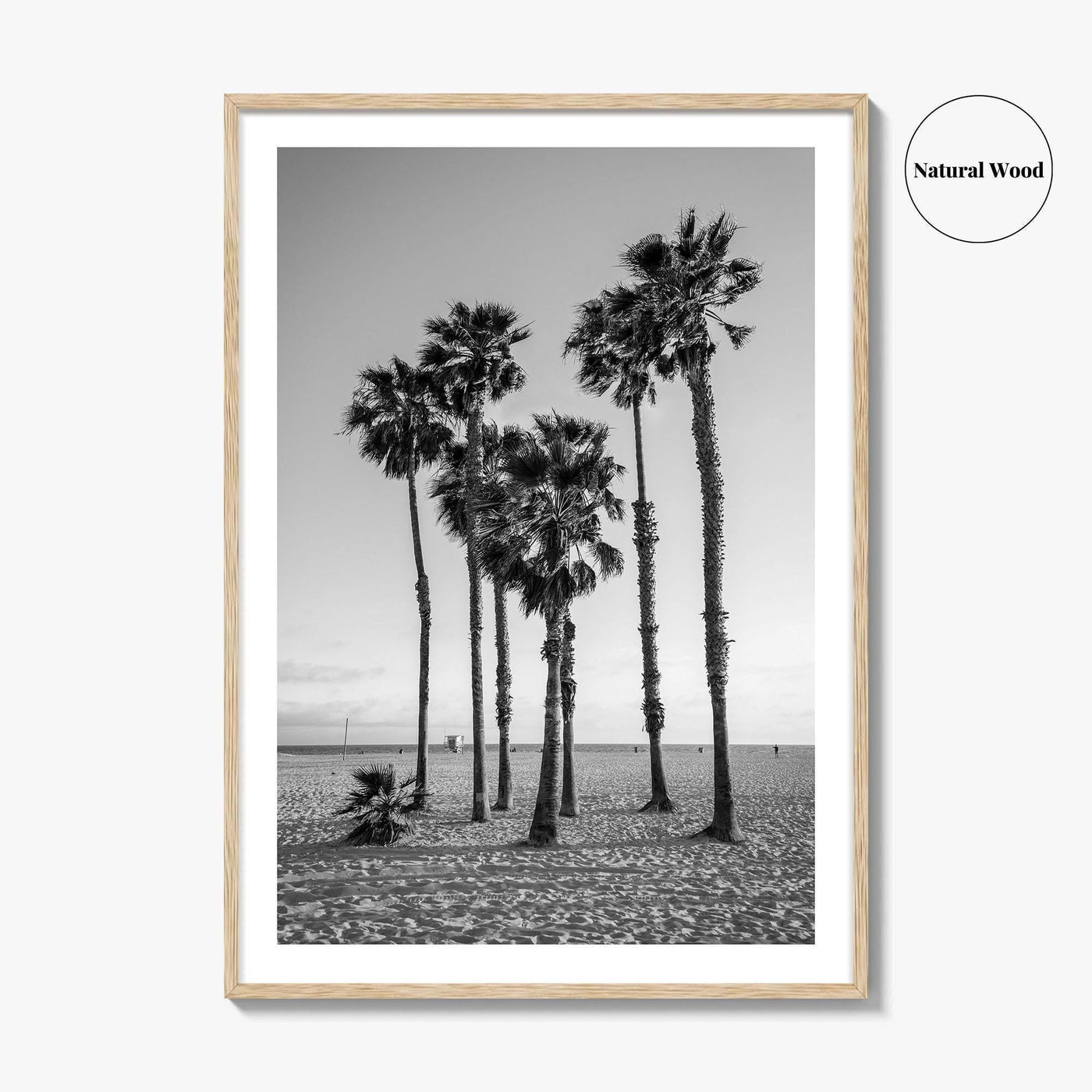 Santa Monica Black and White Fine Art Photo Print, California Palm Trees Poster