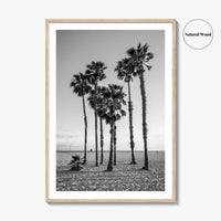 Santa Monica Black and White Fine Art Photo Print, California Palm Trees Poster