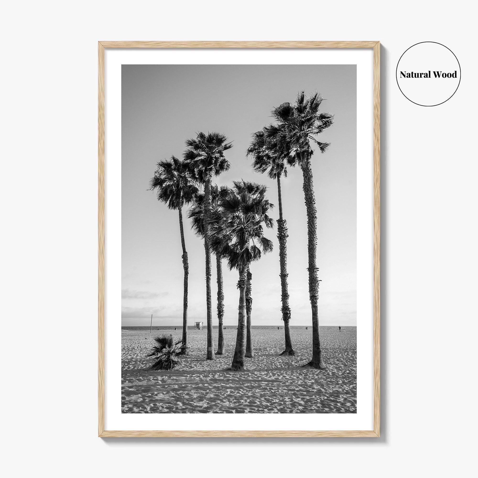Santa Monica Black and White Fine Art Photo Print, California Palm Trees Poster