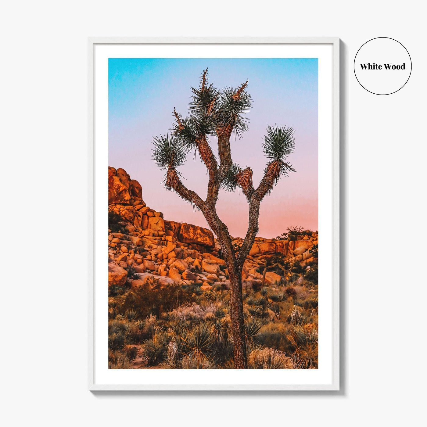 Joshua Tree National Park Blue Fine Art Photo Print, California Wall Decor Poster, USA