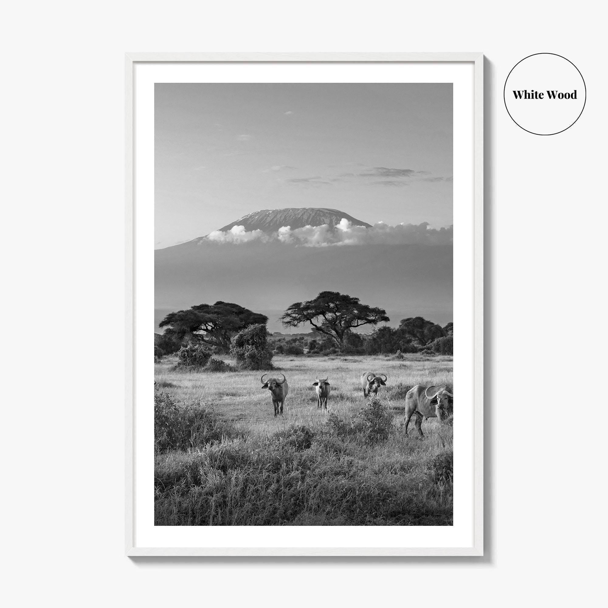 Mount Kilimanjaro Black and White Fine Art Photo Print, Amboseli, Kenya, Tanzania, Poster