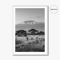 Mount Kilimanjaro Black and White Fine Art Photo Print, Amboseli, Kenya, Tanzania, Poster
