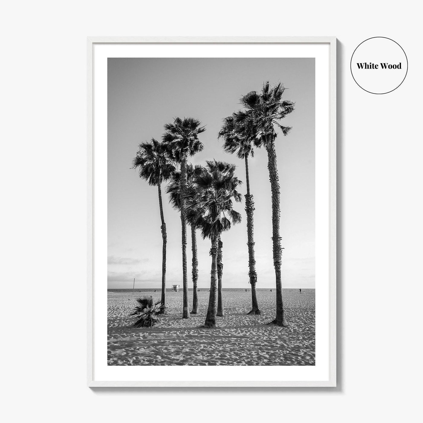 Santa Monica Black and White Fine Art Photo Print, California Palm Trees Poster