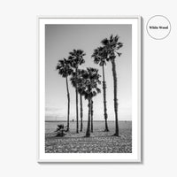 Santa Monica Black and White Fine Art Photo Print, California Palm Trees Poster