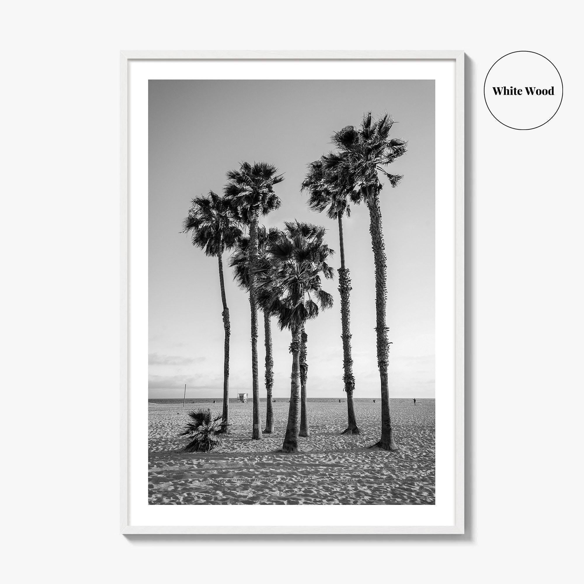 Santa Monica Black and White Fine Art Photo Print, California Palm Trees Poster