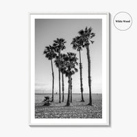 Santa Monica Black and White Fine Art Photo Print, California Palm Trees Poster