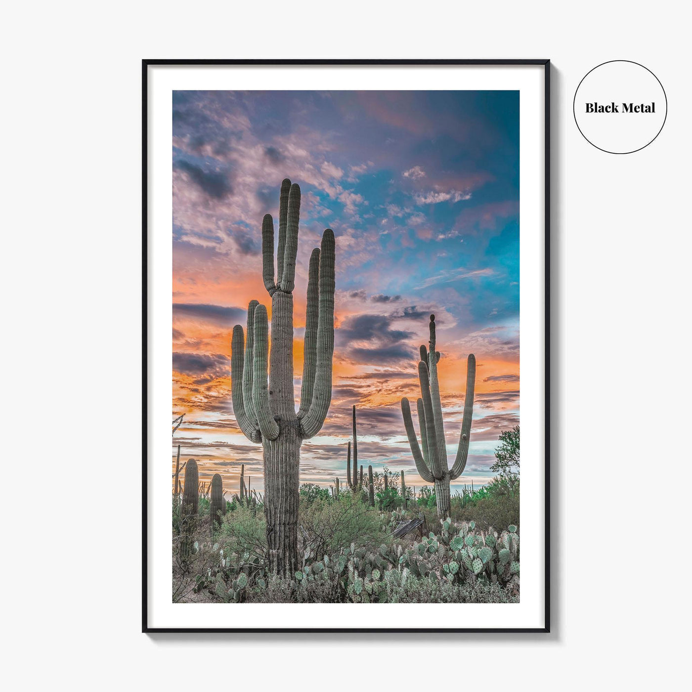 Saguaro National Park Fine Art Photo Print, Tucson Arizona USA, Wall Poster