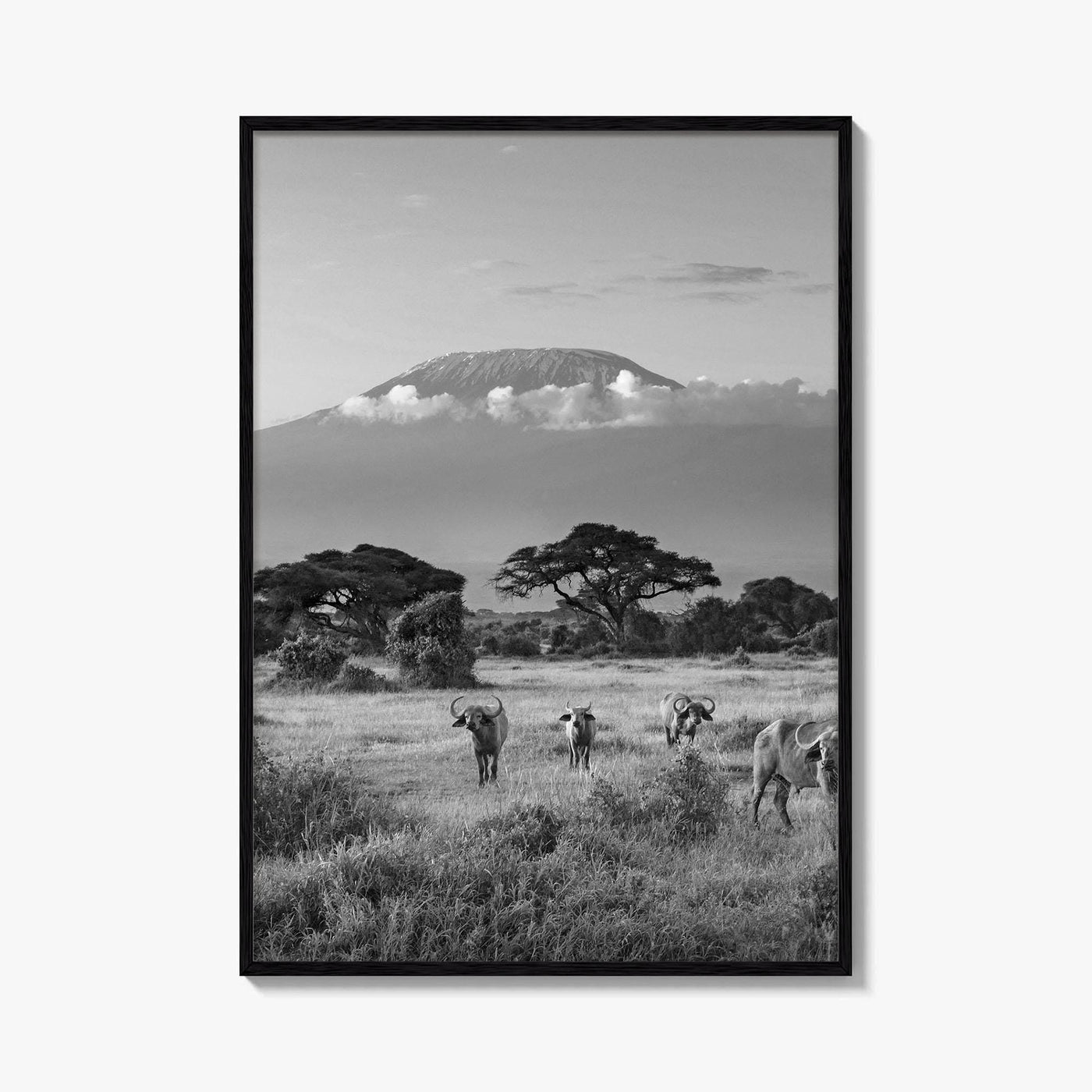 Mount Kilimanjaro Black and White Fine Art Photo Print, Amboseli, Kenya, Tanzania, Poster