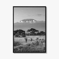 Mount Kilimanjaro Black and White Fine Art Photo Print, Amboseli, Kenya, Tanzania, Poster