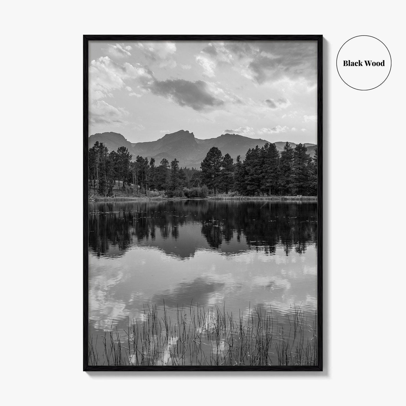 Rocky Mountain Black and White Fine Art Photo Print, Sprague Lake Colorado Poster