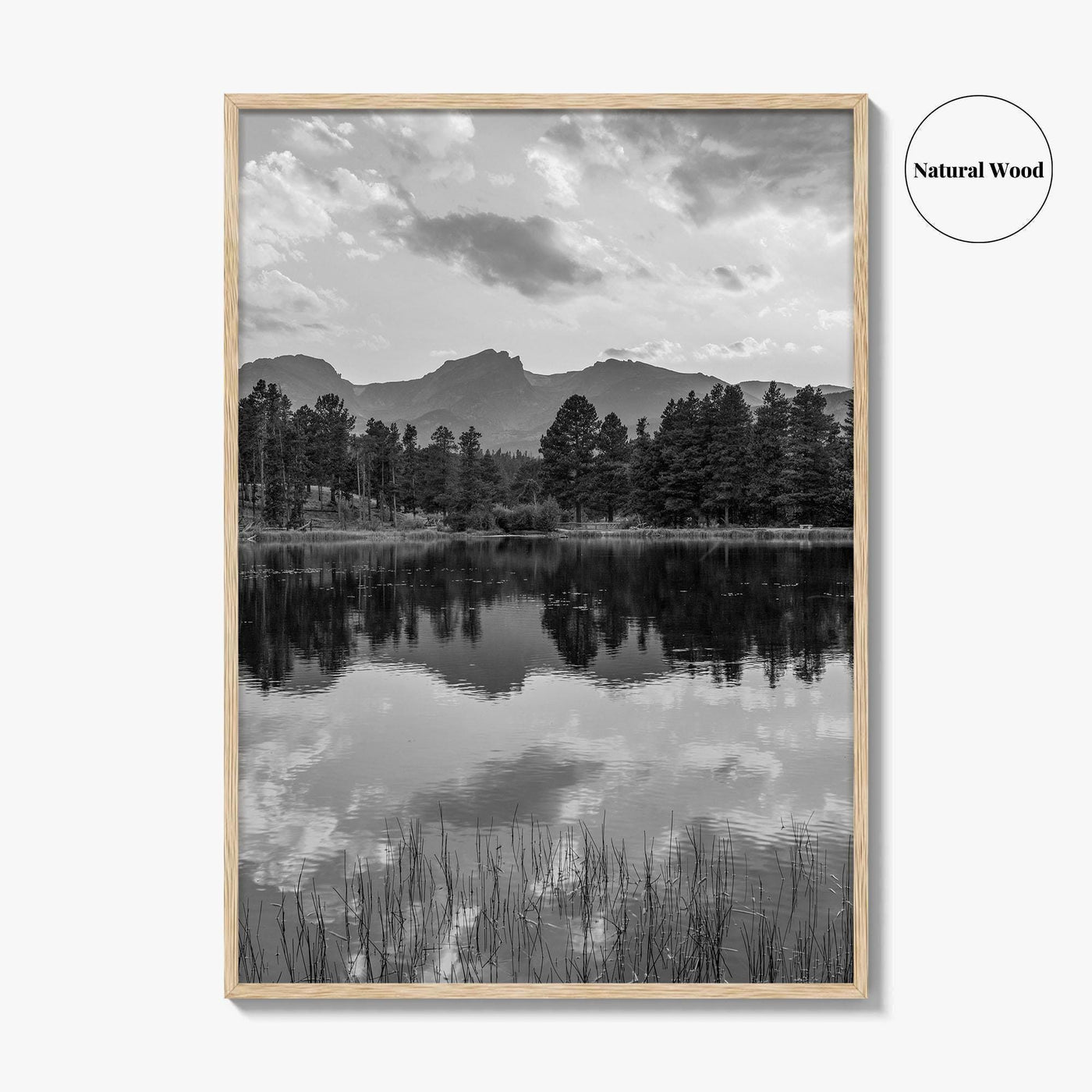 Rocky Mountain Black and White Fine Art Photo Print, Sprague Lake Colorado Poster