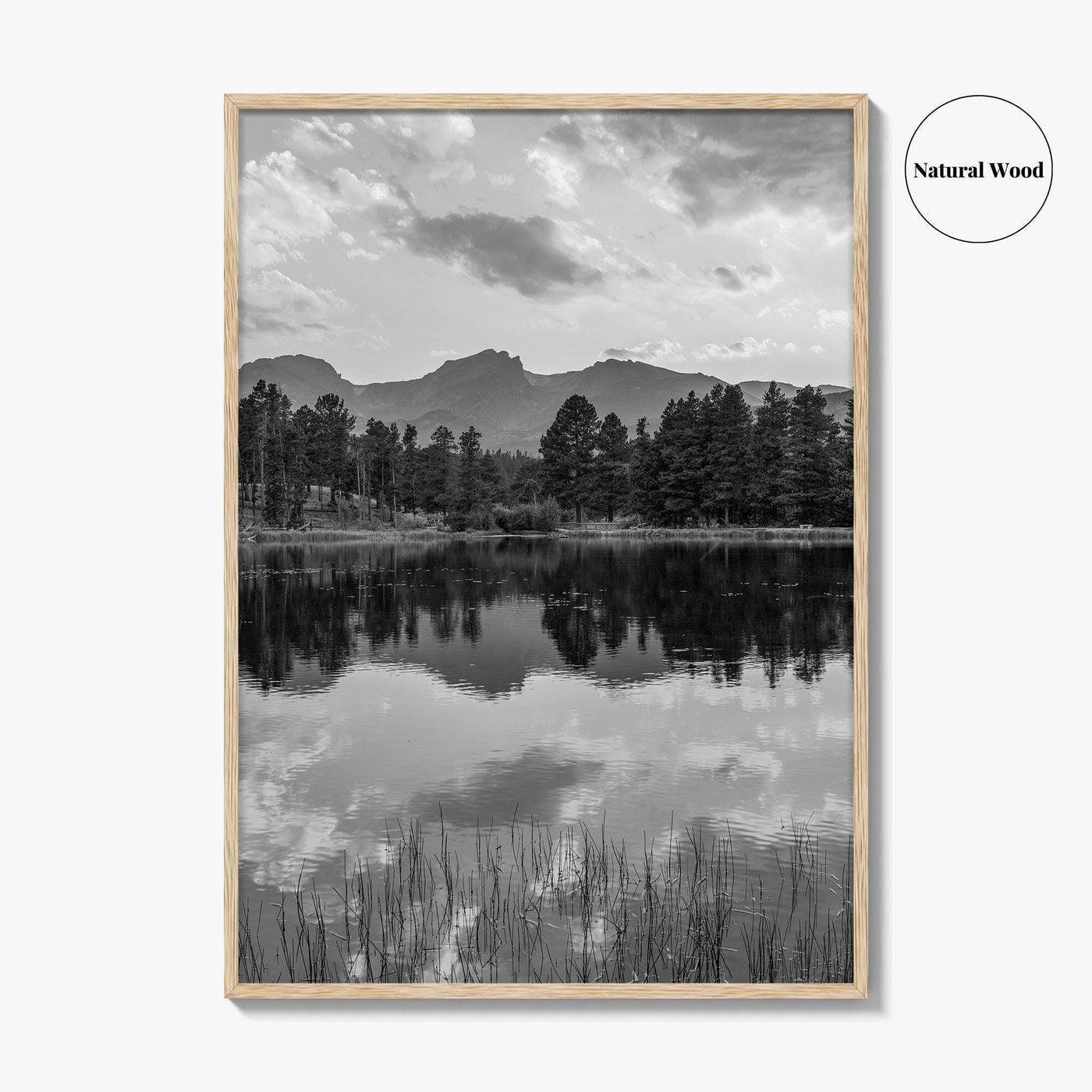 Rocky Mountain Black and White Fine Art Photo Print, Sprague Lake Colorado Poster