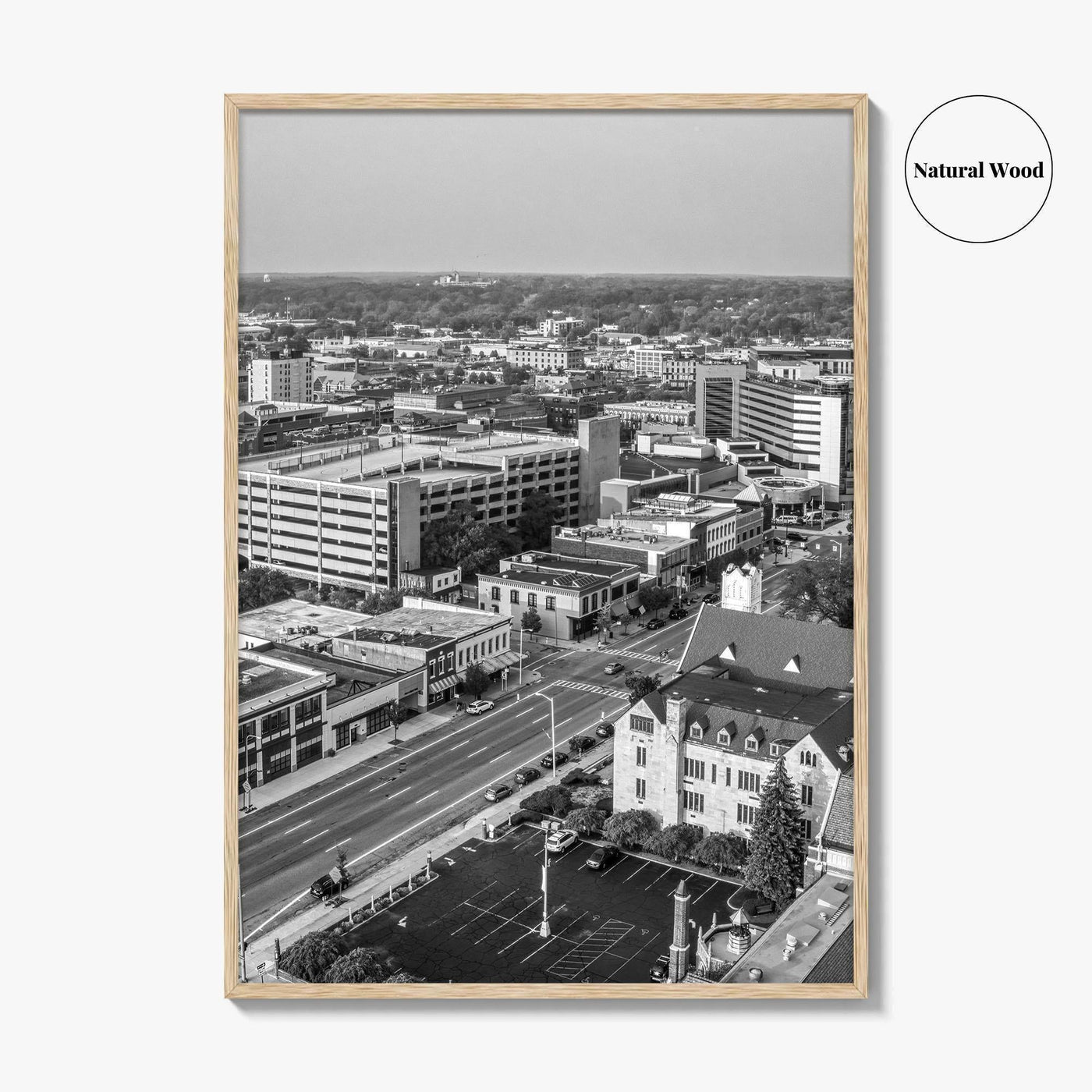 Kalamazoo Black and White Fine Art Photo Print, Michigan Aerial View, USA Wall Poster