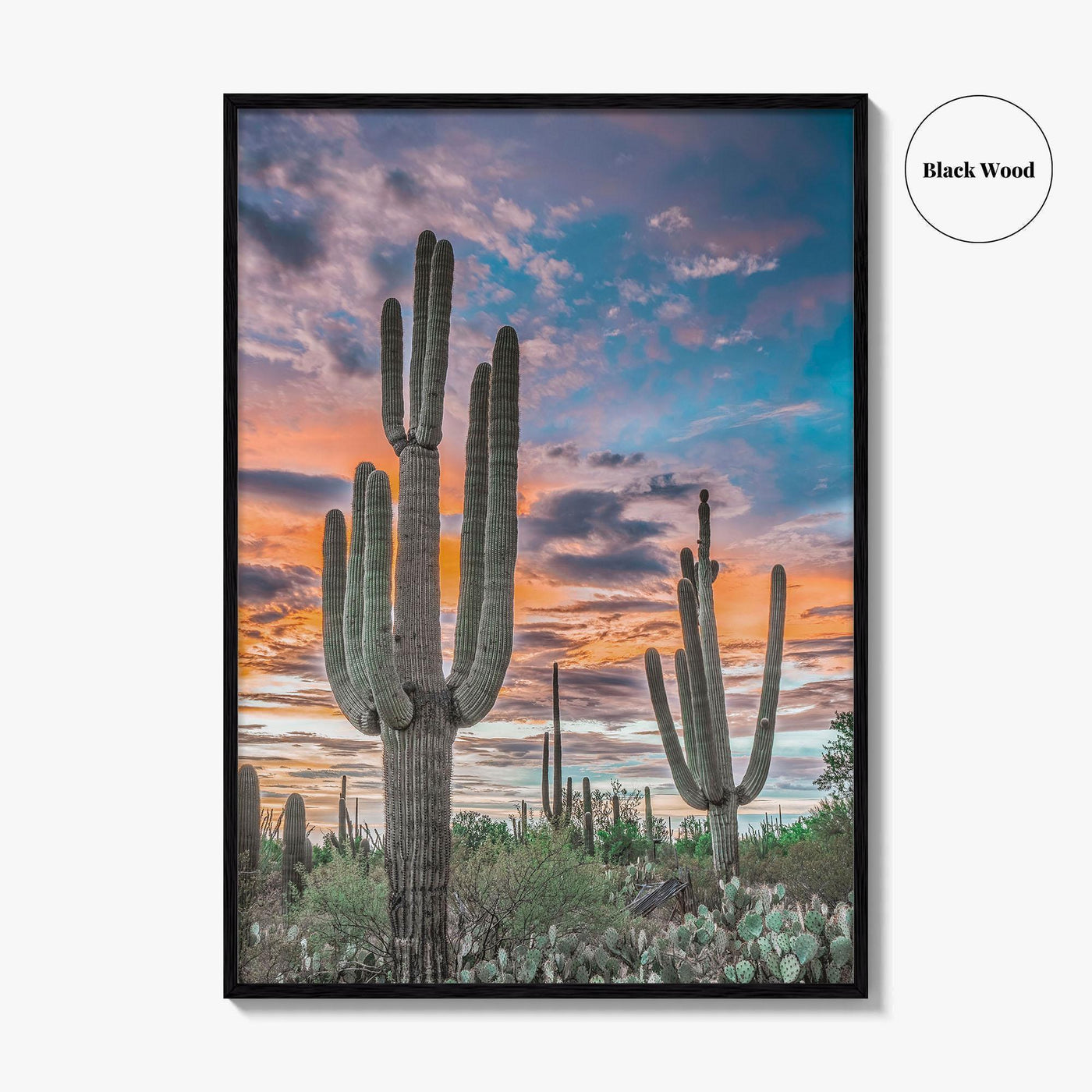 Saguaro National Park Fine Art Photo Print, Tucson Arizona USA, Wall Poster